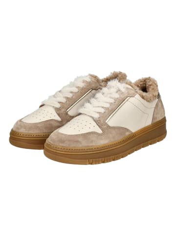 Paul Green Sneaker in Braun/Beige