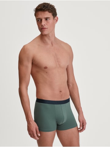 Calida New Boxer, 3er-Pack in dark glen