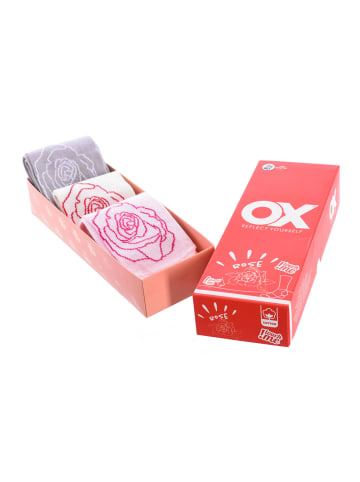 OX Socks 6er-Set: Socken in Multicolored