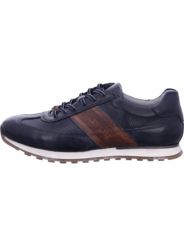 Bugatti Schnürschuhe Ivar in Blau