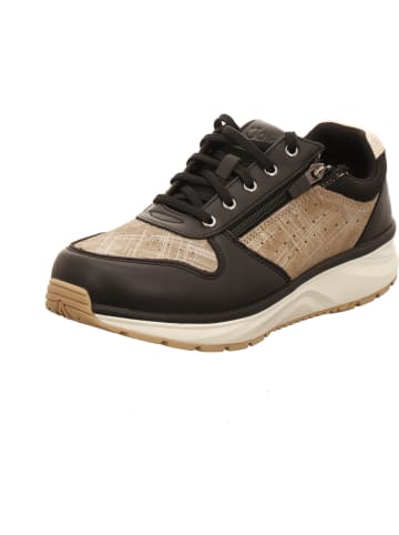 Joya Schnürschuh in schwarz