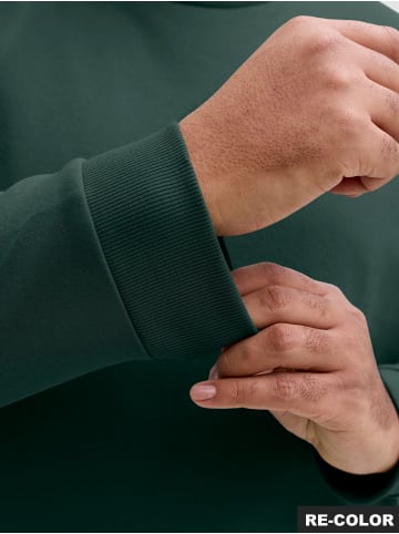 JACK & JONES PLUS Sweatshirt in Scarab
