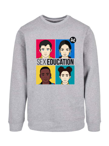 F4NT4STIC Sweatshirt Sex Education Teen Illustrated Netflix TV Series in grau meliert