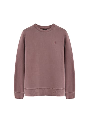 Polo Club Sweatshirt in Taupe Rosa