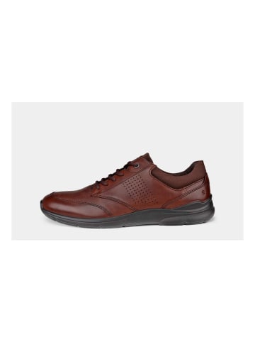 Ecco Schuhe Irving in Braun