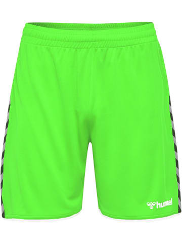 Hummel Hummel Poly Kurze Hose Hmlauthentic Multisport Kinder Leichte Design Schnelltrocknend in GREEN GECKO