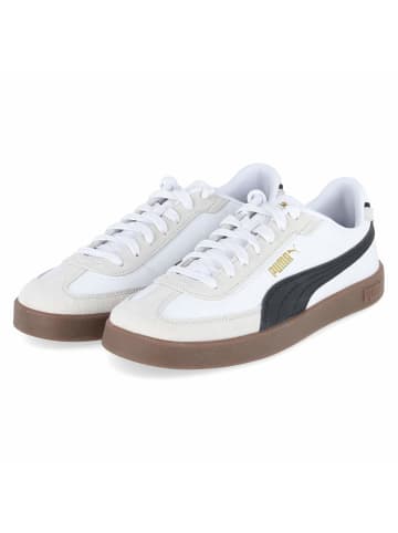 Puma Low Sneaker CLUB II ERA in weiß