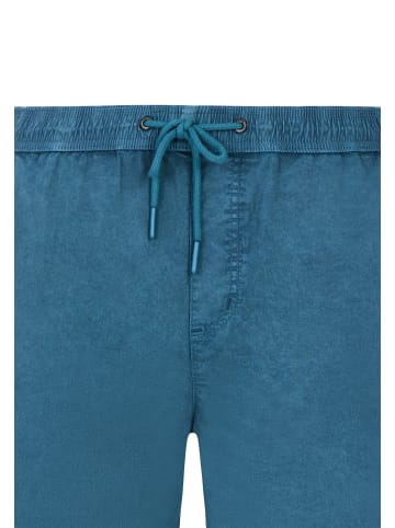 Protest " PRTNivel in Raku Blue