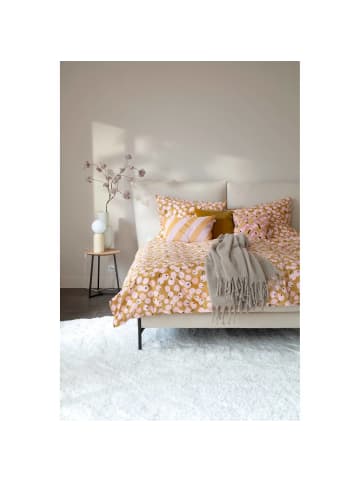 Schöner Wohnen Kollektion Renforcé Bettwäsche RENFORCÈ 1 in Curry