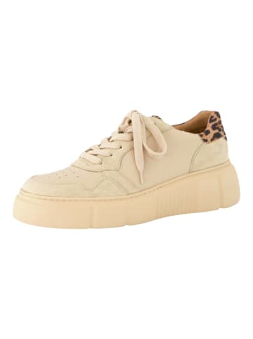 Paul Green Sneaker in Beige