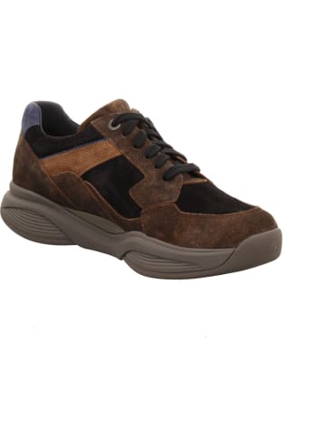 Xsensible Sneaker Low in braun