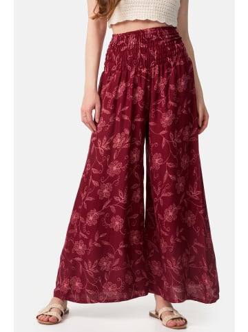 paigh Palazzo Hose in Wildblume