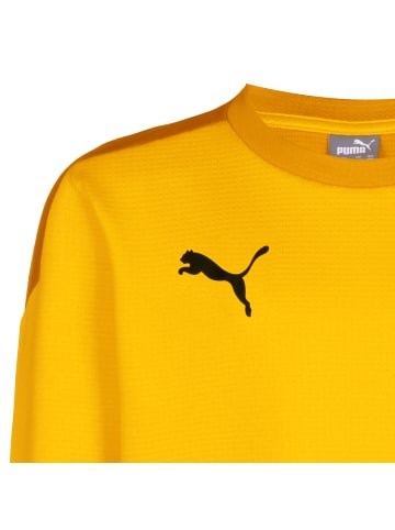 Puma Sweatshirt TeamGOAL 23 in gelb / dunkelgelb