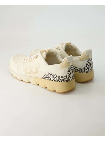 Tenhaag Sportliche Schnürschuhe in Beige