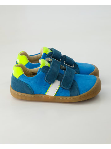 KOEL Barfußschuhe in Blau