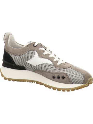 Floris van Bommel Sneaker Low in grau