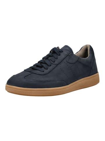 Pius Gabor Sneaker in Denim