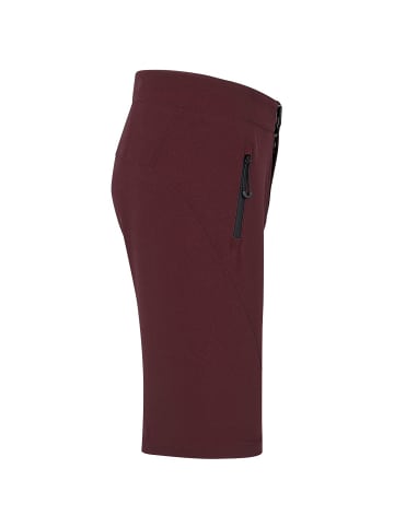 IXS M CARVE EVO SHORTS