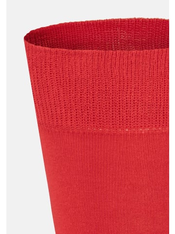 Kunert Socken Richard druckfreier Bund in Red