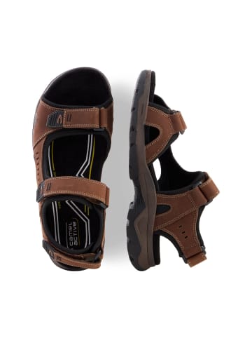Camel Active Ledersandale mit profilierter TPR Sohle in Cafe