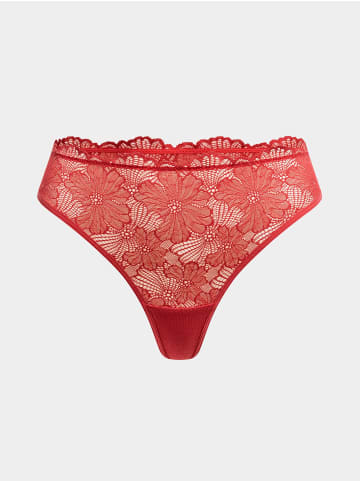 Erlich Textil  String CLASSY LACE STRING in granatapfel