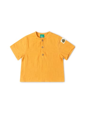 Little Green Radicals Henley-Top in Gold