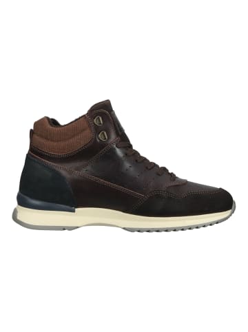 Bullboxer Sneaker in Braun