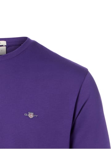 Gant T-Shirt in purple