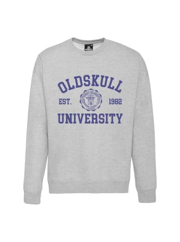 OLDSKULL Sweatshirt Retro University in Heather Grey