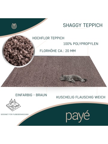 payé Teppich Hochflor Shaggy