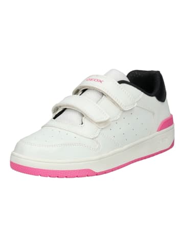 Geox Sneaker in Weiß/Schwarz