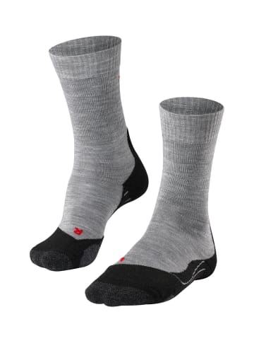 Falke Socken 1er Pack in Grau