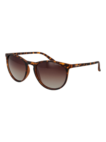 Polaroid Unisex Sonnenbrillen Panto Braun