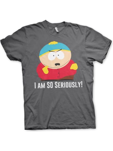 South Park T-Shirt in Grau