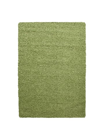 Teppich Boss Hochflor Teppich Lux in Grün