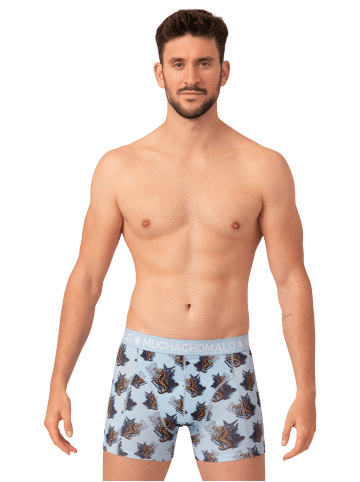 Muchachomalo 4er-Set: Boxershort in Mehrfarbig - für Herren