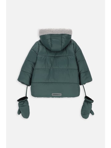 Coccodrillo Winterjacke in grün
