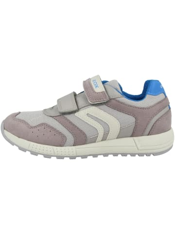 Geox Sneaker low J Alben B. C in grau