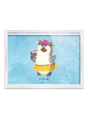 Mr. & Mrs. Panda Schüttelrahmen Pinguin Kokosnuss ohne Spruch in Eisblau