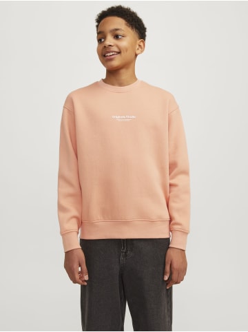 Jack & Jones Sweatshirt in Canyon Sunset