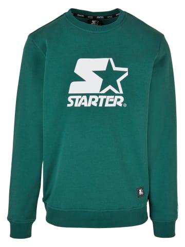 STARTER STARTER in darkfreshgreen