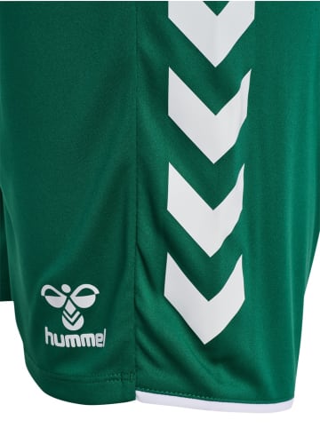 Hummel Short "Core 2.0 Shorts" in Grün