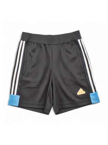 adidas Shorts NTPK House of Tiro Nations Pack in Schwarz
