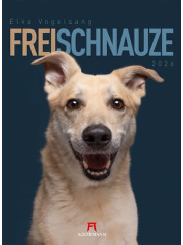 Ackermann Kunstverlag Kalender - Frei Schnauze Kalender 2026