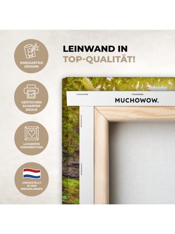 MuchoWow Leinwand bilder Sonniger Wasserfall (BxH)