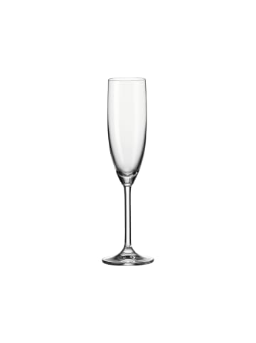 LEONARDO 12er Set Sektglas Daily in Transparent 200 ml in transparent