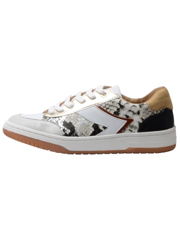 Divine Factory Tennis Grau