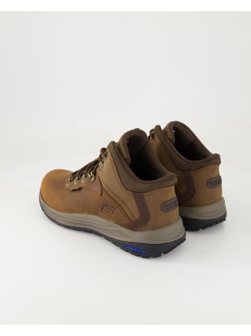 Skechers Sneaker high in Braun