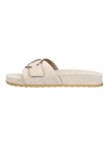Paul Green Pantoletten in Beige