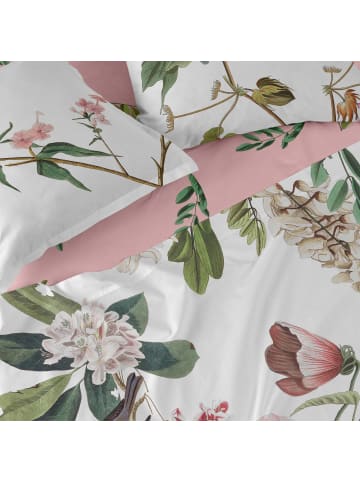 Happy Friday Blooming Oberlaken